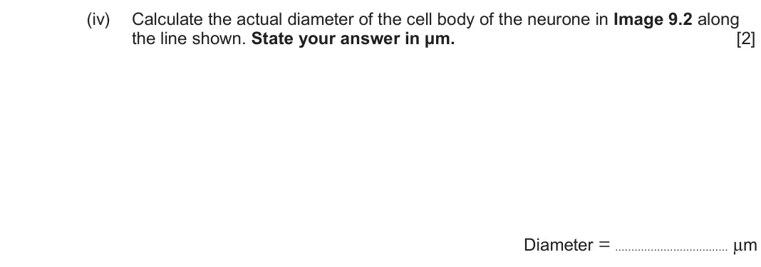 June 2024 Component 3, question 9(a)(iv): Calculate the actual diameter of the cell body of the neurone in Image 9.2 along the line shown. State your answer in µm. [2] Diameter = µm