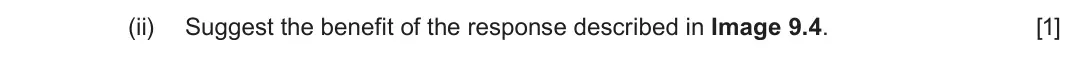 June 2024 Component 3, question 9(c)(ii): Suggest the benefit of the response described in Image 9.4. [1]