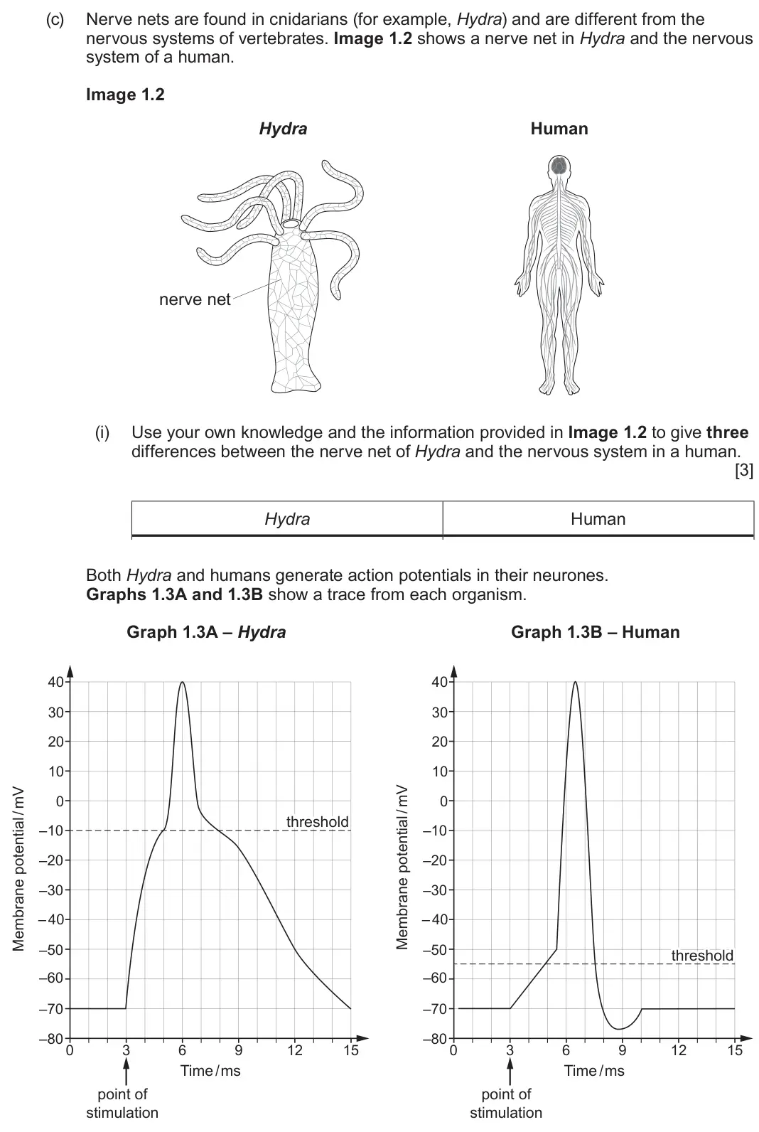 June 2025 Component 3, question 1(c)(i): Use your own knowledge and the information provided in Image 1.2 to give three differences between the nerve net of Hydra and the nervous system in a human. [3]