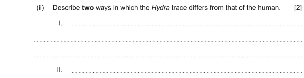 June 2025 Component 3, question 1(c)(ii): Describe two ways in which the Hydra trace differs from that of the human. [2] I. II.