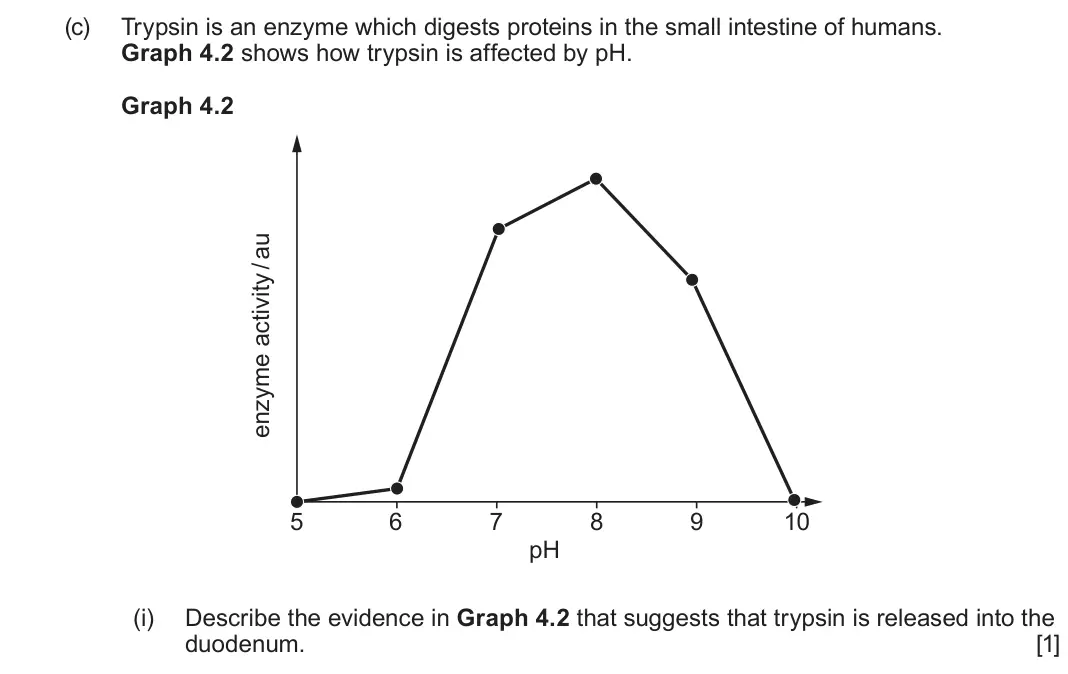 June 2025 Component 3, question 4(c)(i): Describe the evidence in Graph 4.2 that suggests that trypsin is released into the duodenum. [1]