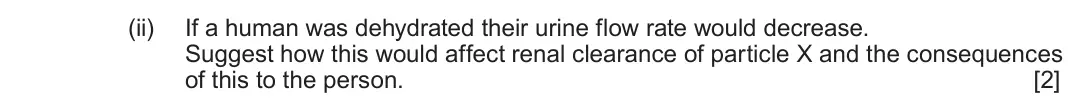 June 2025 Component 3, question 5(c)(ii): If a human was dehydrated their urine flow rate would decrease. Suggest how this would affect renal clearance of particle X and the consequences of this to the