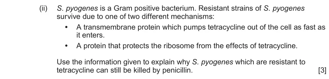 June 2025 Component 3, question 7(c)(ii): S. pyogenes is a Gram positive bacterium. Resistant strains of S. pyogenes survive due to one of two different mechanisms: • A transmembrane protein which pumps