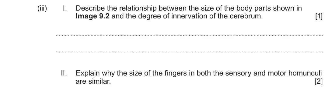 June 2025 Component 3, question 9(a)(iii): I. Describe the relationship between the size of the body parts shown in Image 9.2 and the degree of innervation of the cerebrum. [1] II. Explain why the size o