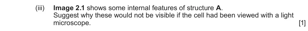 June 2024 AS Component 1, question 2(a)(iii): Image 2.1 shows some internal features of structure A. Suggest why these would not be visible if the cell had been viewed with a light microscope. [1]