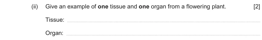 June 2024 AS Component 1, question 2(b)(ii): Give an example of one tissue and one organ from a flowering plant. [2] Tissue: Organ: