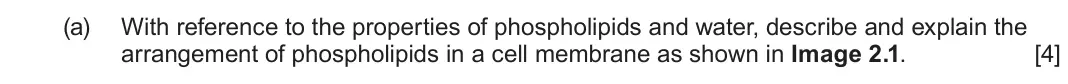 June 2025 AS Component 1, question 2(a): With reference to the properties of phospholipids and water, describe and explain the arrangement of phospholipids in a cell membrane as shown in Image 2.1. [4]