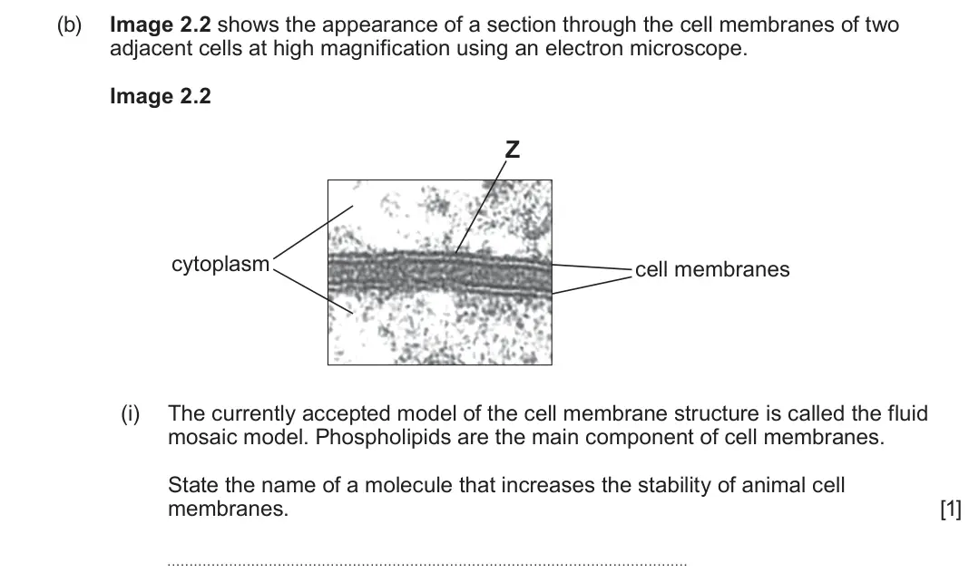 June 2025 AS Component 1, question 2(b)(i): The currently accepted model of the cell membrane structure is called the fluid mosaic model. Phospholipids are the main component of cell membranes. State the 