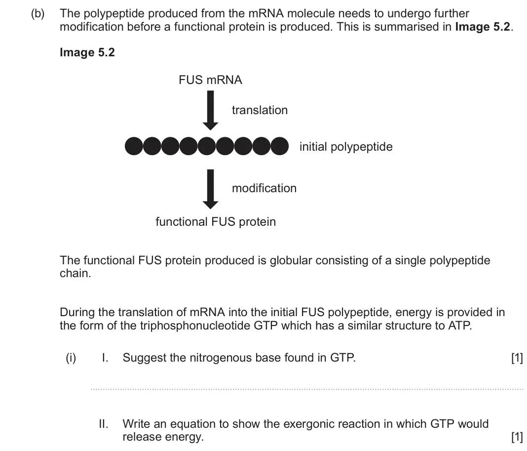 June 2025 AS Component 1, question 5(b)(i): I. Suggest the nitrogenous base found in GTP. [1] II. Write an equation to show the exergonic reaction in which GTP would release energy. [1]