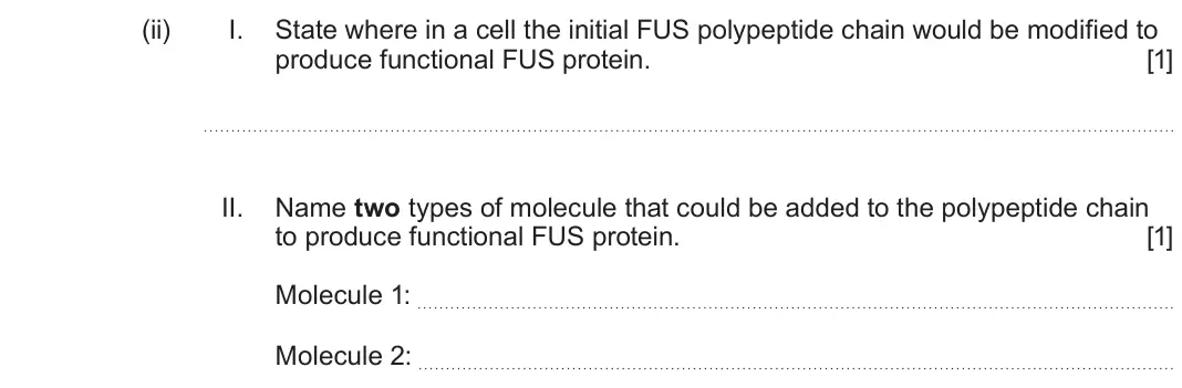 June 2025 AS Component 1, question 5(b)(ii): I. State where in a cell the initial FUS polypeptide chain would be modified to produce functional FUS protein. [1] II. Name two types of molecule that could be