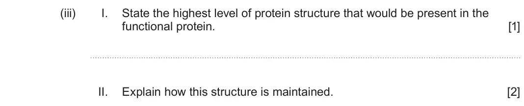 June 2025 AS Component 1, question 5(b)(iii): I. State the highest level of protein structure that would be present in the functional protein. [1] II. Explain how this structure is maintained. [2]
