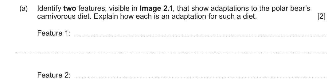 June 2024 AS Component 2, question 2(a): Identify two features, visible in Image 2.1, that show adaptations to the polar bear’s carnivorous diet. Explain how each is an adaptation for such a diet. [2] 
