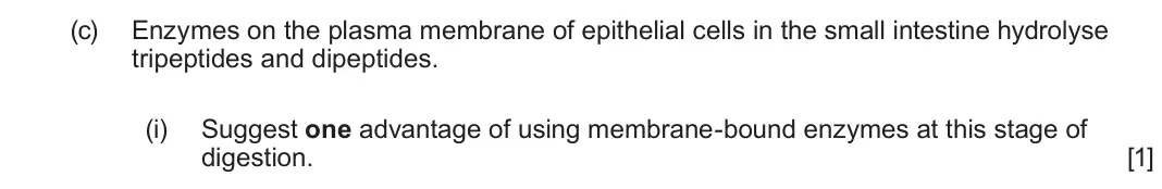 June 2024 AS Component 2, question 2(c)(i): Suggest one advantage of using membrane-bound enzymes at this stage of digestion. [1]
