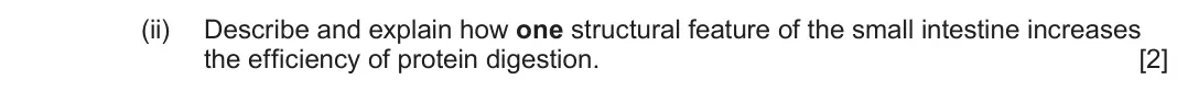 June 2024 AS Component 2, question 2(c)(ii): Describe and explain how one structural feature of the small intestine increases the efficiency of protein digestion. [2]