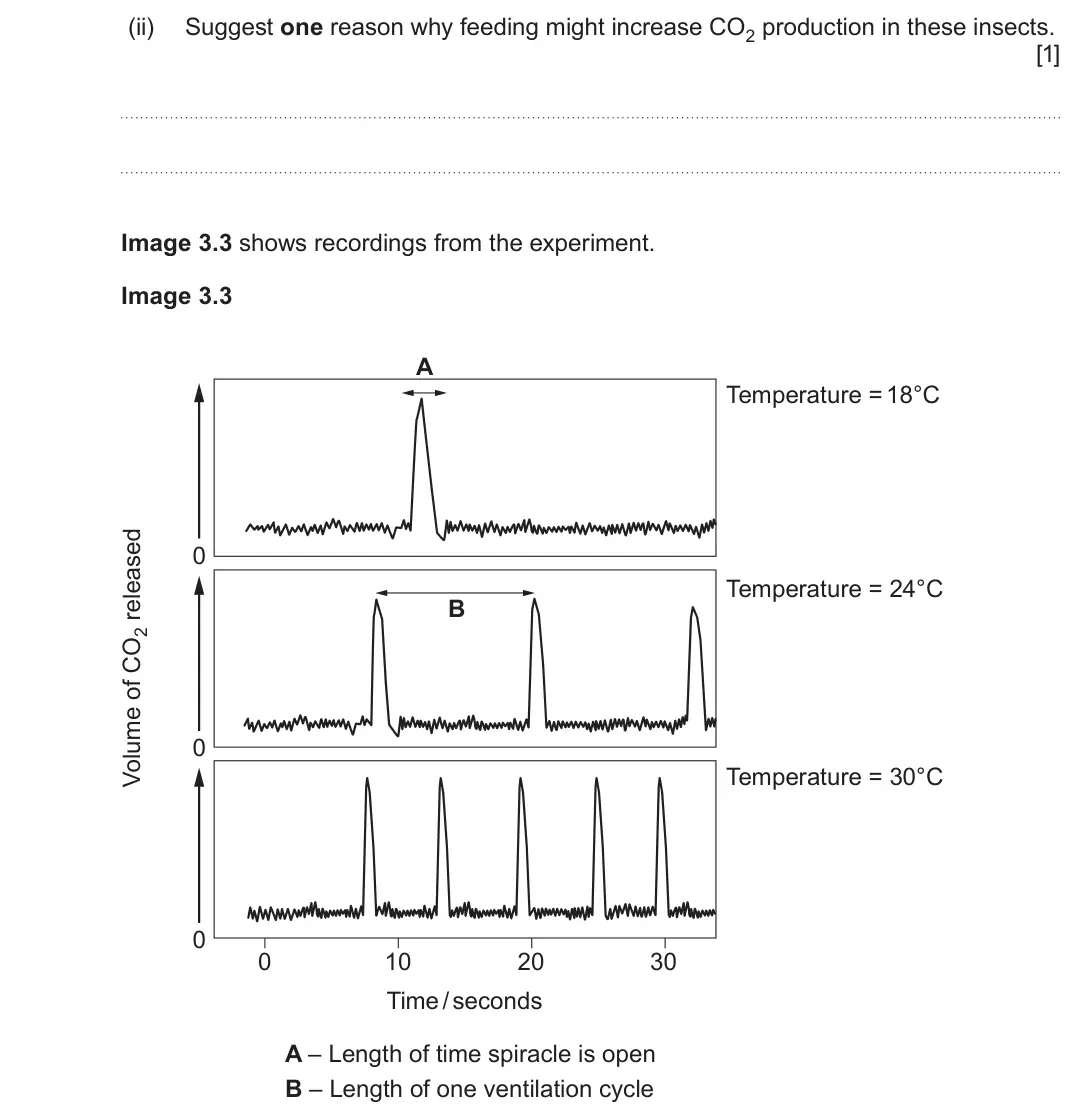 June 2024 AS Component 2, question 3(b)(ii): Suggest one reason why feeding might increase CO2 production in these insects. [1] Image 3.3 shows recordings from the experiment. Image 3.3 A Temperature = 18°