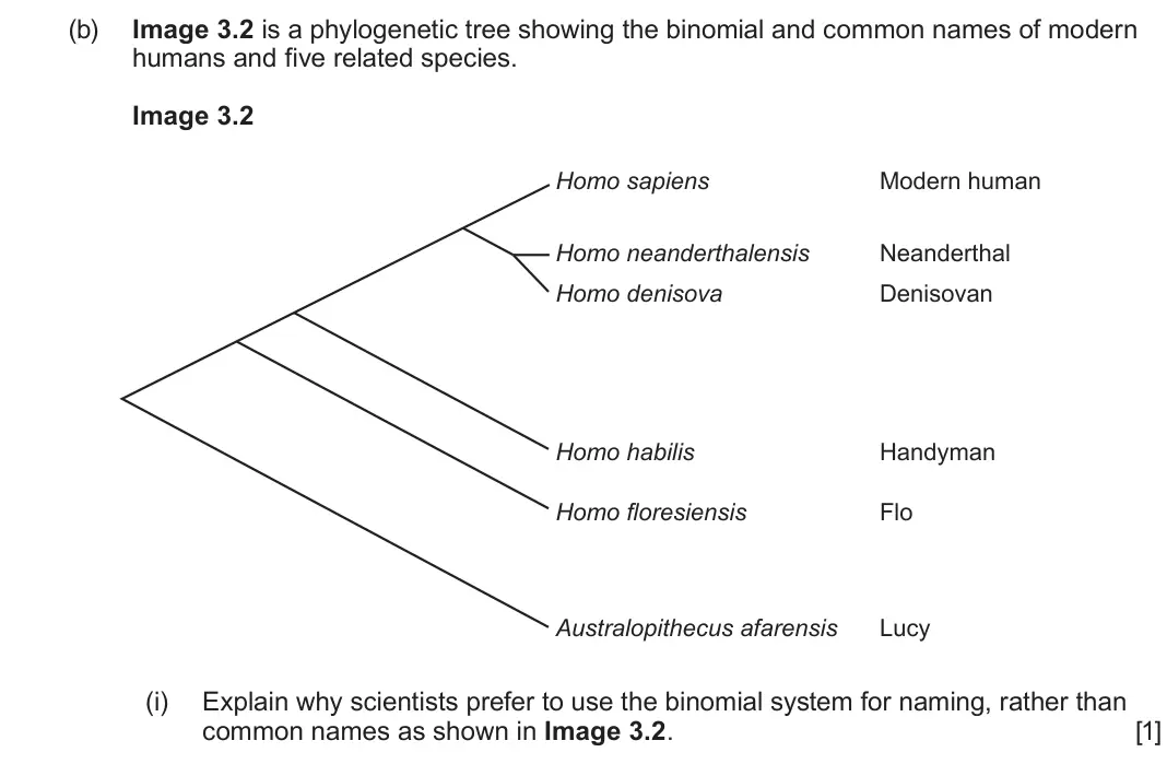June 2025 AS Component 2, question 3(b)(i): Explain why scientists prefer to use the binomial system for naming, rather than common names as shown in Image 3.2  [1]