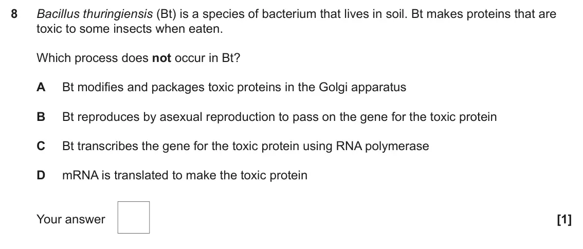 June 2024 AS Paper 1, question 8: Bacillus thuringiensis (Bt) is a species of bacterium that lives in soil. Bt makes proteins that are toxic to some insects when eaten. Which process does not oc