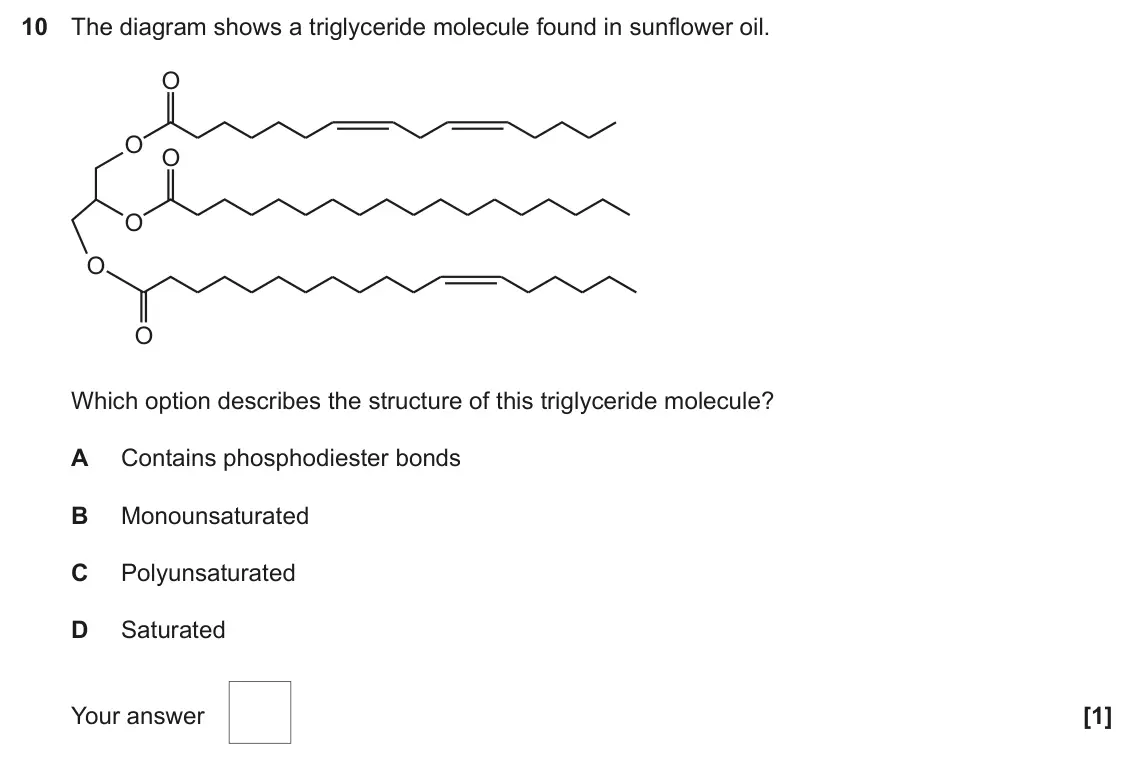 June 2024 AS Paper 1, question 10: The diagram shows a triglyceride molecule found in sunflower oil. O O O O O O Which option describes the structure of this triglyceride molecule? A Contains pho