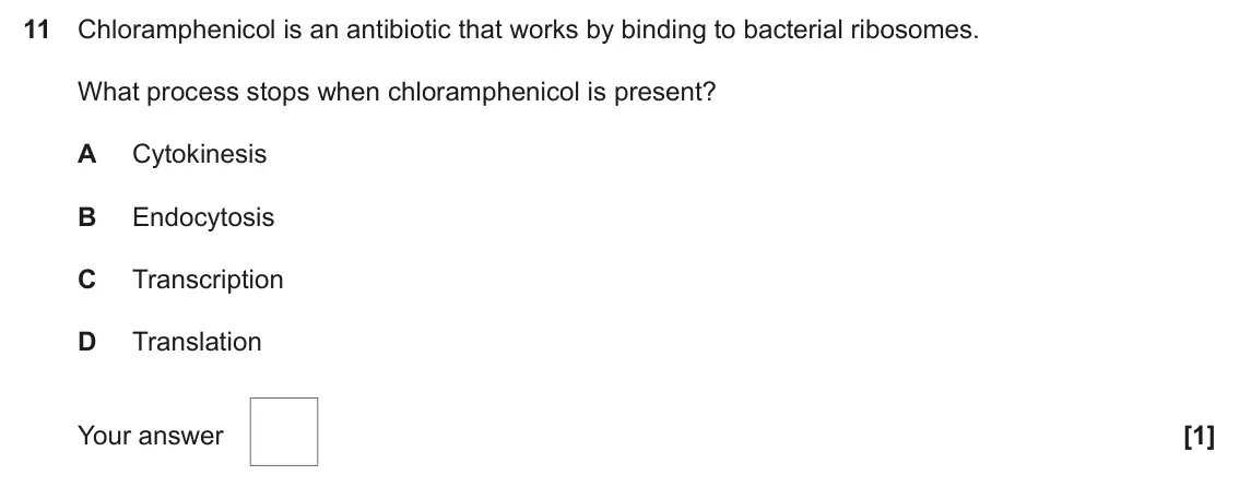 June 2024 AS Paper 1, question 11: Chloramphenicol is an antibiotic that works by binding to bacterial ribosomes. What process stops when chloramphenicol is present? A Cytokinesis B Endocytosis C