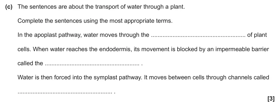 June 2024 AS Paper 1, question 22(c): The sentences are about the transport of water through a plant. Complete the sentences using the most appropriate terms. In the apoplast pathway, water moves th