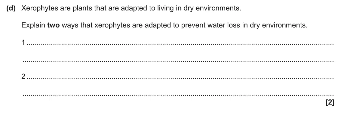 June 2024 AS Paper 1, question 22(d): Xerophytes are plants that are adapted to living in dry environments. Explain two ways that xerophytes are adapted to prevent water loss in dry environments. 1