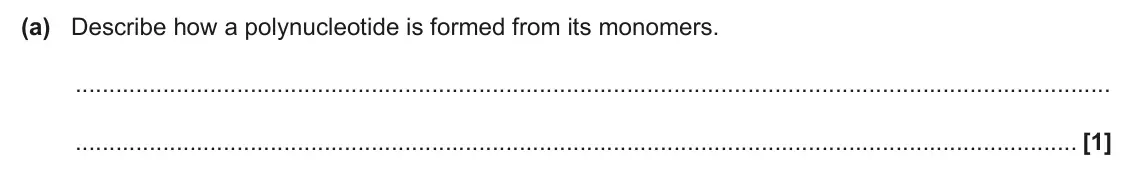 June 2024 AS Paper 1, question 23(a): Describe how a polynucleotide is formed from its monomers. [1]