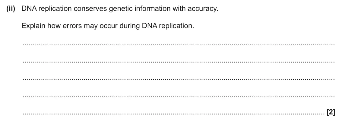 June 2024 AS Paper 1, question 23(b)(ii): DNA replication conserves genetic information with accuracy. Explain how errors may occur during DNA replication. [2]