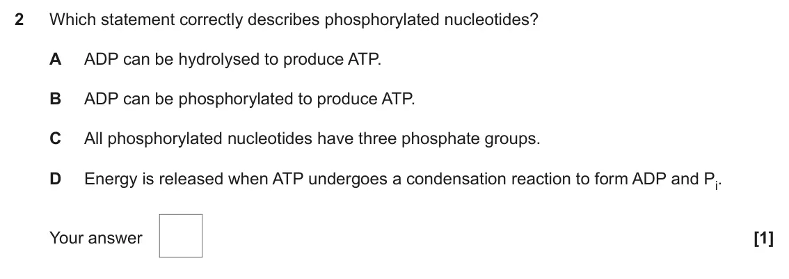 June 2025 AS Paper 1, question 2: Which statement correctly describes phosphorylated nucleotides? A ADP can be hydrolysed to produce ATP. B ADP can be phosphorylated to produce ATP. C All phosph