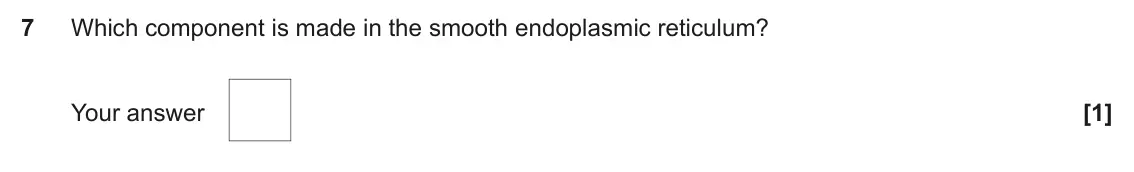 June 2025 AS Paper 1, question 7: Which component is made in the smooth endoplasmic reticulum? Your answer [1]