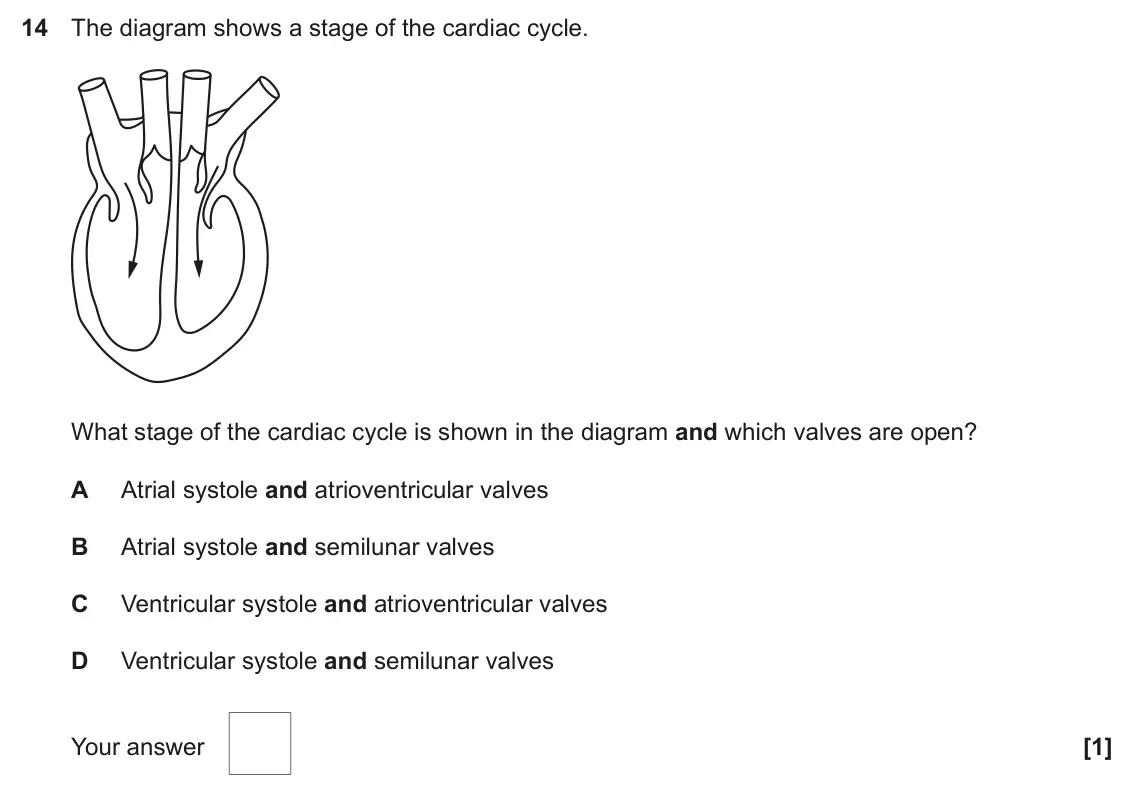 June 2025 AS Paper 1, question 14: The diagram shows a stage of the cardiac cycle. What stage of the cardiac cycle is shown in the diagram and which valves are open? A Atrial systole and atrioven