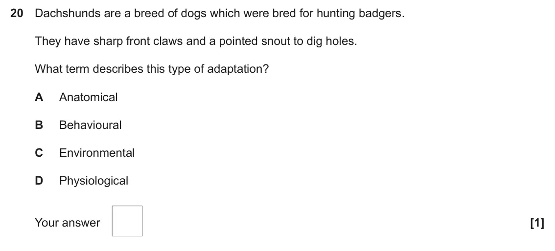 June 2025 AS Paper 1, question 20: Dachshunds are a breed of dogs which were bred for hunting badgers. They have sharp front claws and a pointed snout to dig holes. What term describes this type 