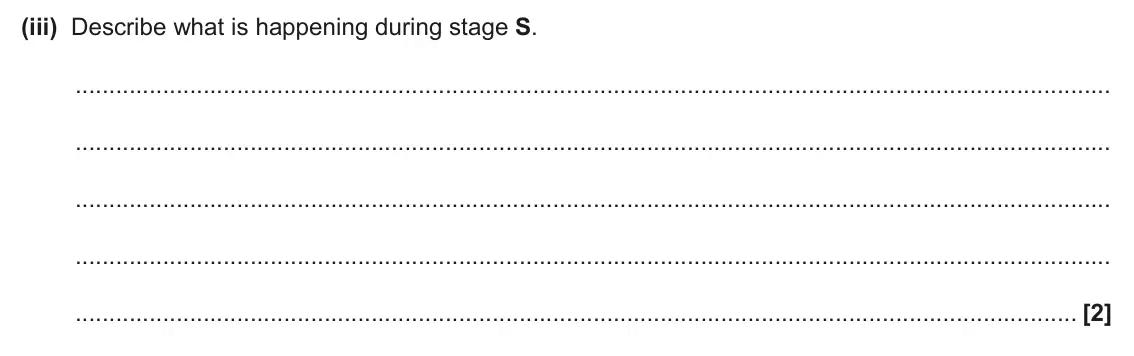 June 2025 AS Paper 1, question 21(a)(iii): Describe what is happening during stage S. [2]