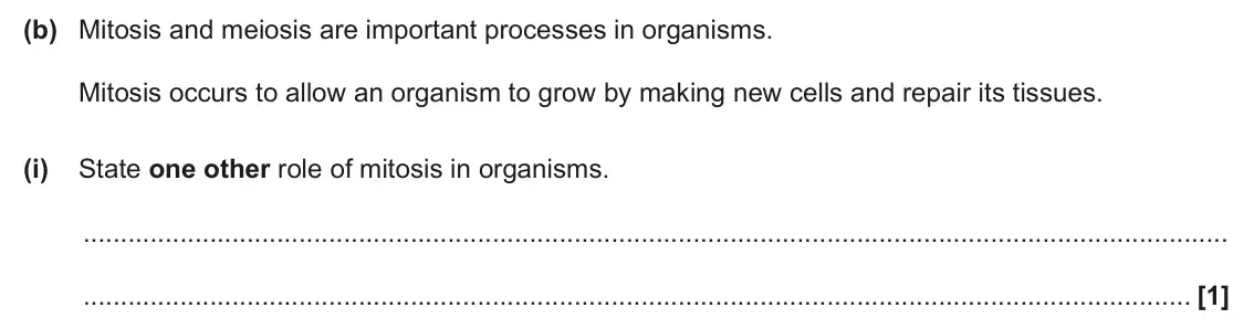 June 2025 AS Paper 1, question 21(b)(i): State one other role of mitosis in organisms. [1]