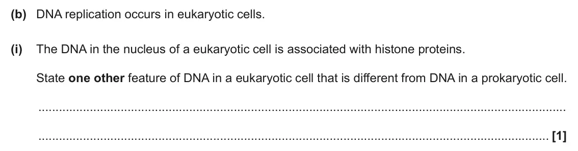 June 2025 AS Paper 1, question 22(b)(i): The DNA in the nucleus of a eukaryotic cell is associated with histone proteins. State one other feature of DNA in a eukaryotic cell that is different from DNA