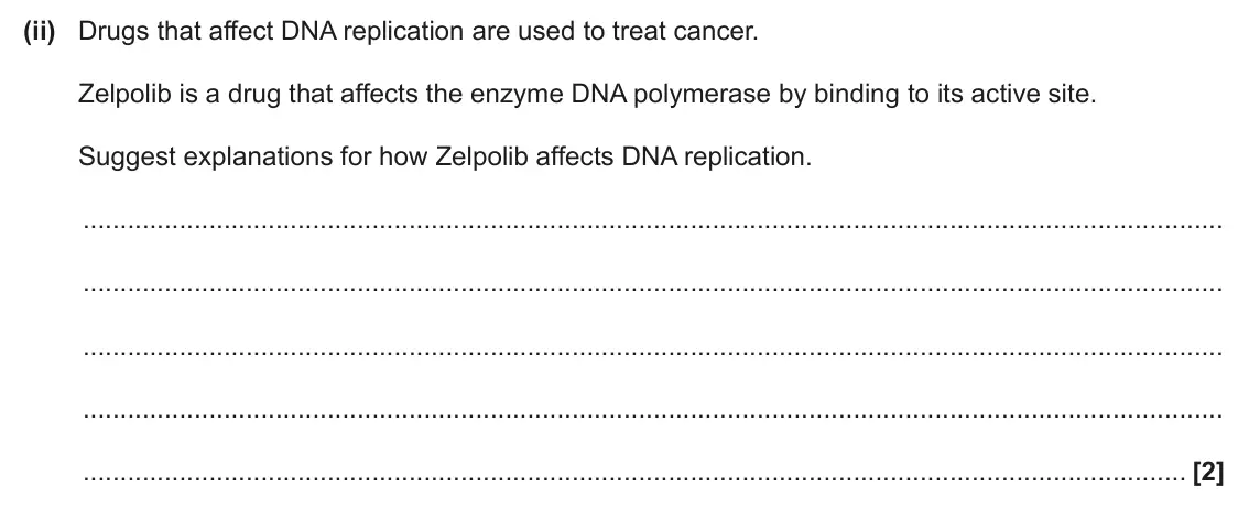 June 2025 AS Paper 1, question 22(b)(ii): Drugs that affect DNA replication are used to treat cancer. Zelpolib is a drug that affects the enzyme DNA polymerase by binding to its active site. Suggest exp