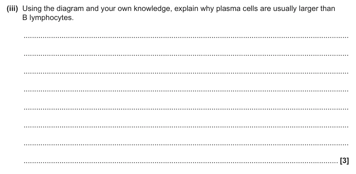 June 2025 AS Paper 1, question 23(a)(iii): Using the diagram and your own knowledge, explain why plasma cells are usually larger than B lymphocytes. [3]