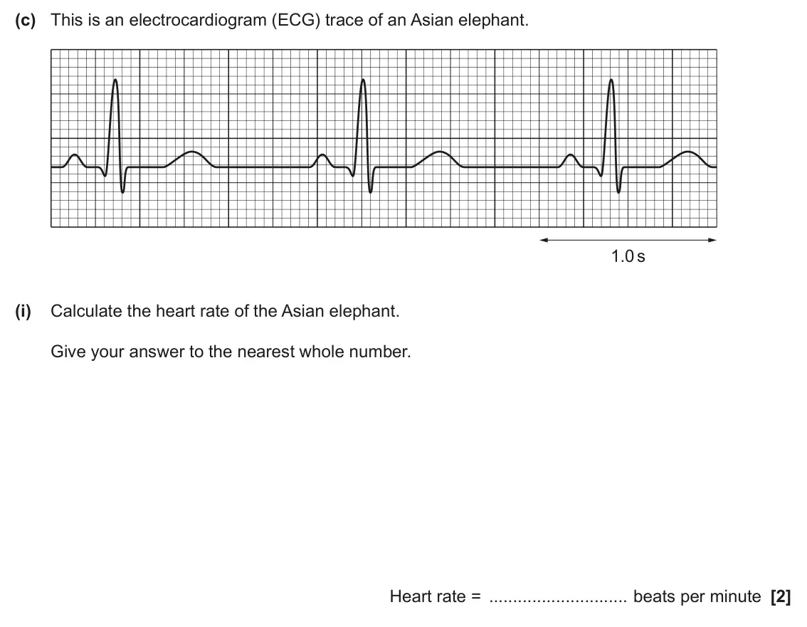 June 2025 AS Paper 1, question 25(c)(i): Calculate the heart rate of the Asian elephant. Give your answer to the nearest whole number. Heart rate = beats per minute [2]