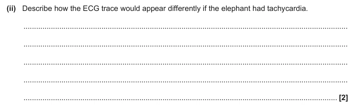 June 2025 AS Paper 1, question 25(c)(ii): Describe how the ECG trace would appear differently if the elephant had tachycardia. [2]