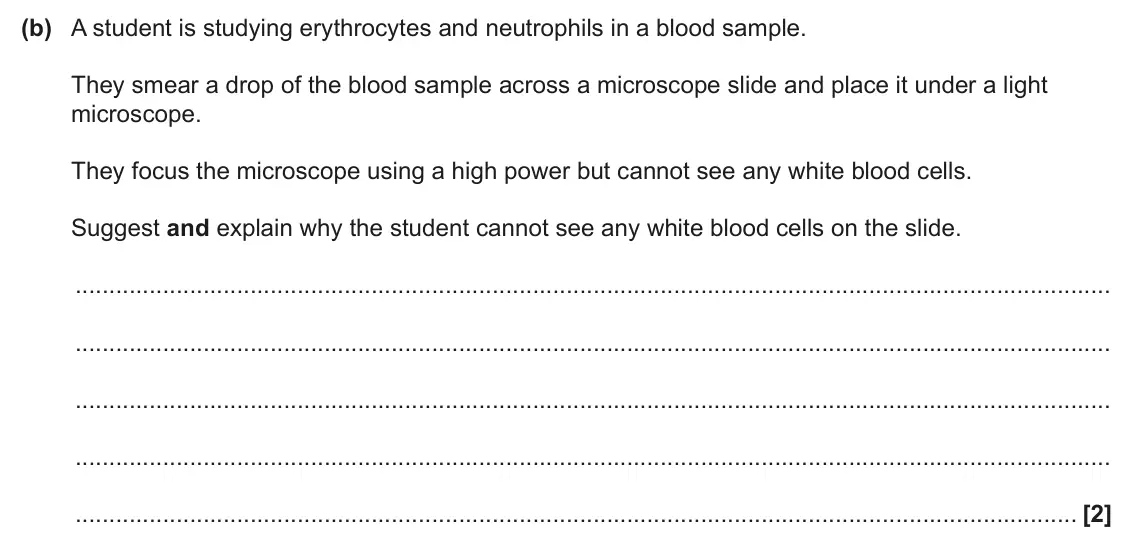 June 2025 AS Paper 1, question 26(b): A student is studying erythrocytes and neutrophils in a blood sample. They smear a drop of the blood sample across a microscope slide and place it under a light
