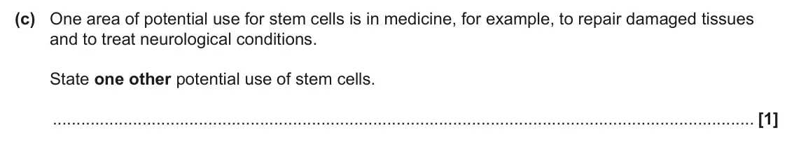 June 2025 AS Paper 1, question 26(c): One area of potential use for stem cells is in medicine, for example, to repair damaged tissues and to treat neurological conditions. State one other potential 