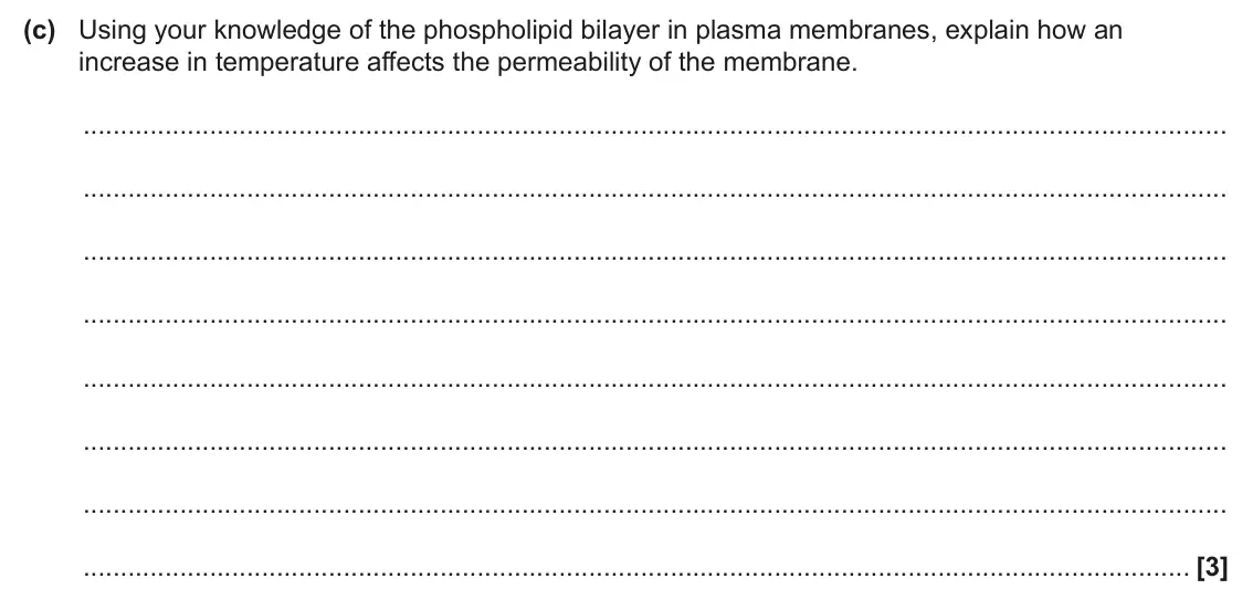 June 2025 AS Paper 2, question 2(c): Using your knowledge of the phospholipid bilayer in plasma membranes, explain how an increase in temperature affects the permeability of the membrane. [3]