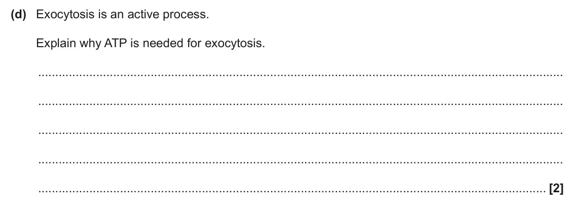 June 2025 AS Paper 2, question 2(d): Exocytosis is an active process. Explain why ATP is needed for exocytosis. [2]