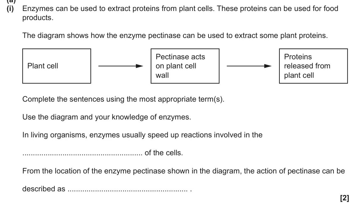 June 2025 AS Paper 2, question 3(a)(i): Enzymes can be used to extract proteins from plant cells. These proteins can be used for food products. The diagram shows how the enzyme pectinase can be used t