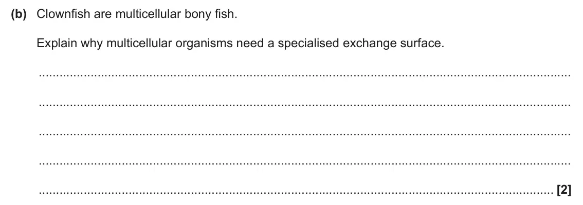 June 2025 AS Paper 2, question 5(b): Clownfish are multicellular bony fish. Explain why multicellular organisms need a specialised exchange surface. [2]