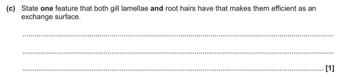 June 2025 AS Paper 2, question 5(c): State one feature that both gill lamellae and root hairs have that makes them efficient as an exchange surface. [1]
