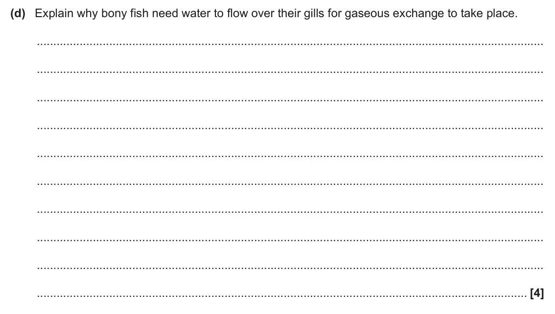 June 2025 AS Paper 2, question 5(d): Explain why bony fish need water to flow over their gills for gaseous exchange to take place. [4]