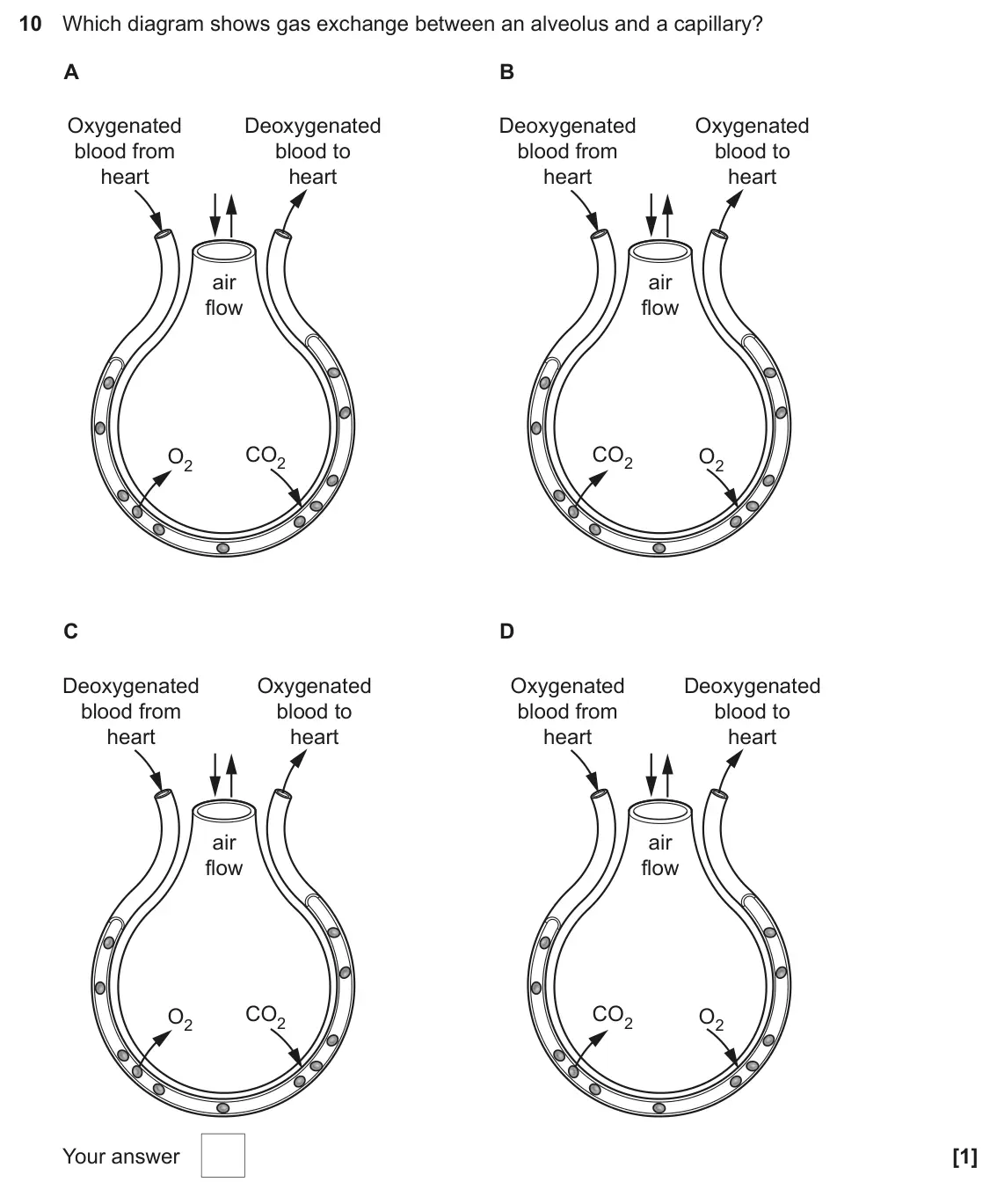 June 2024 AS Paper 1, question 10: Which diagram shows gas exchange between an alveolus and a capillary? A B Oxygenated Deoxygenated Deoxygenated Oxygenated blood from blood to blood from blood t