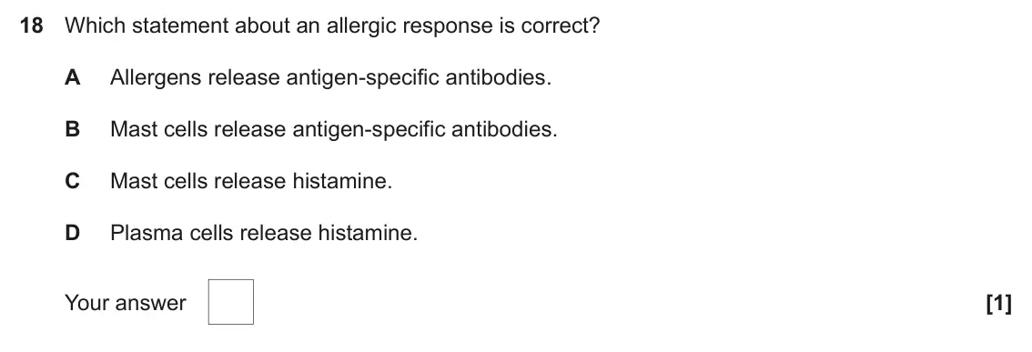 June 2024 AS Paper 1, question 18: Which statement about an allergic response is correct? A Allergens release antigen-specific antibodies. B Mast cells release antigen-specific antibodies. C Mast