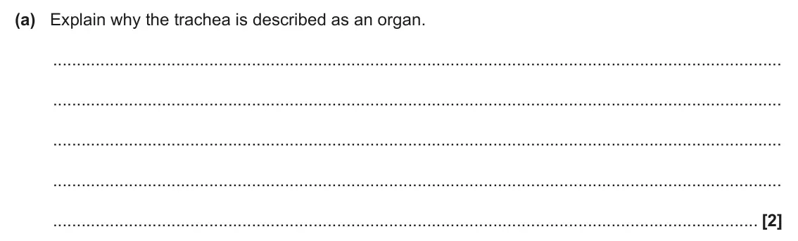 June 2024 AS Paper 1, question 21(a): Explain why the trachea is described as an organ. [2]