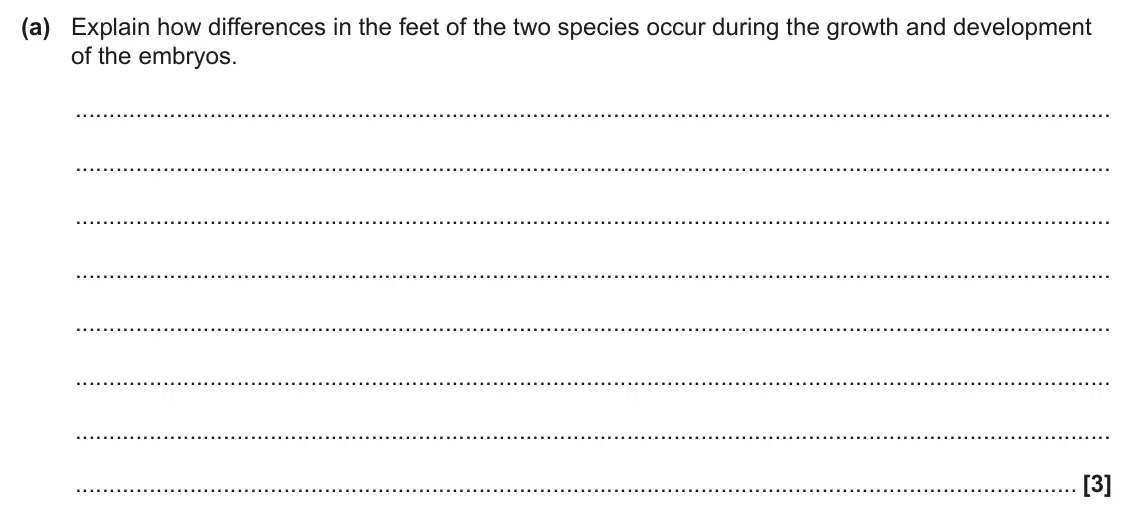 June 2024 AS Paper 1, question 24(a): Explain how differences in the feet of the two species occur during the growth and development of the embryos. [3]